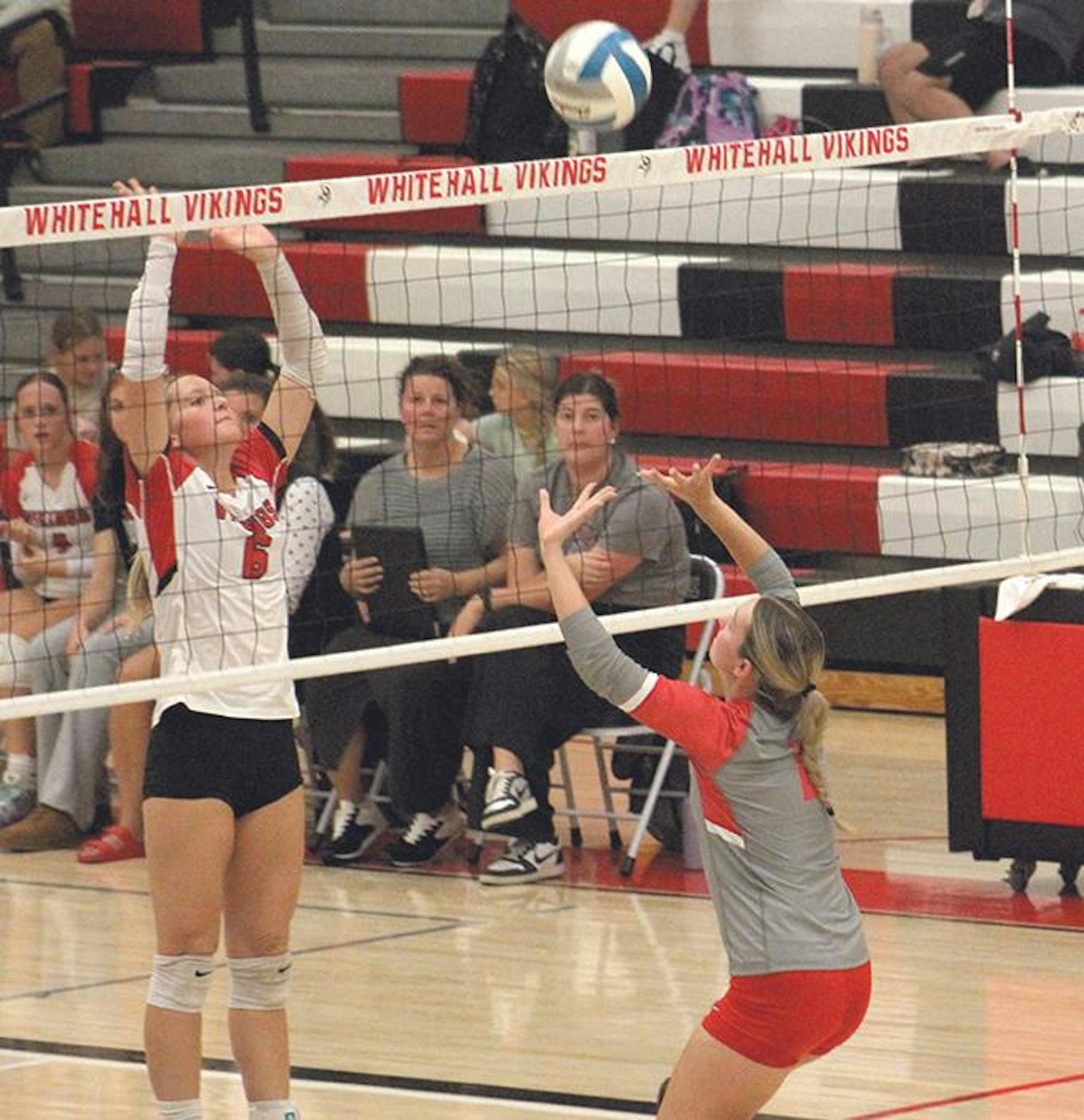 wh-hart vb 8.jpg