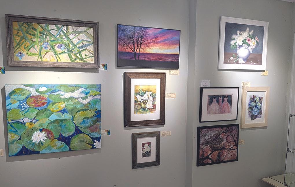 Gallery - Dune Grass Gallery