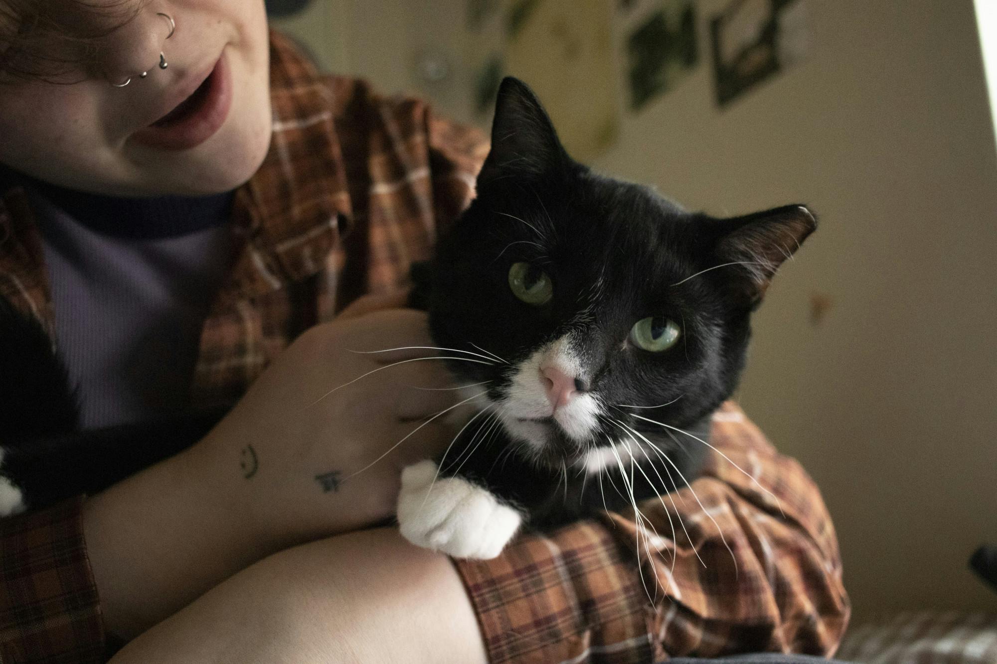 Service/EmotionalSupportAnimals_Lynch 3