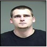 Logan man pleads guilty to assault  