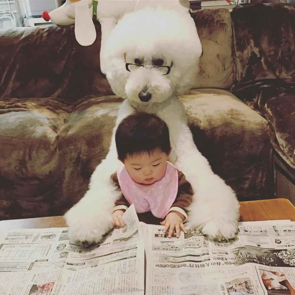 This dog and baby are literally best friends. (Photo via Instagram user&nbsp;tamanegi.qoo.riku)