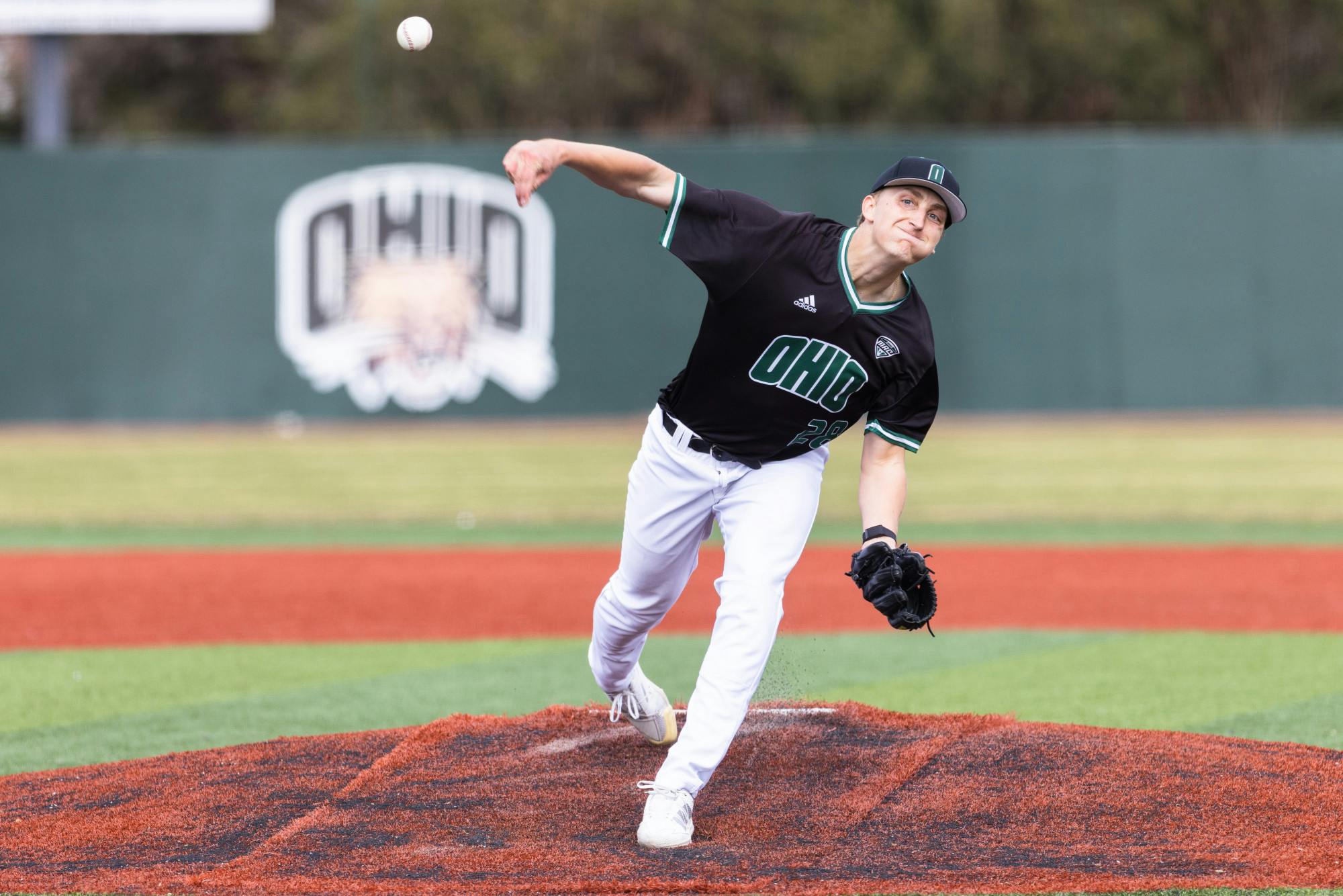 Ohio  V.S. Marshall Clay Stark_2.jpg