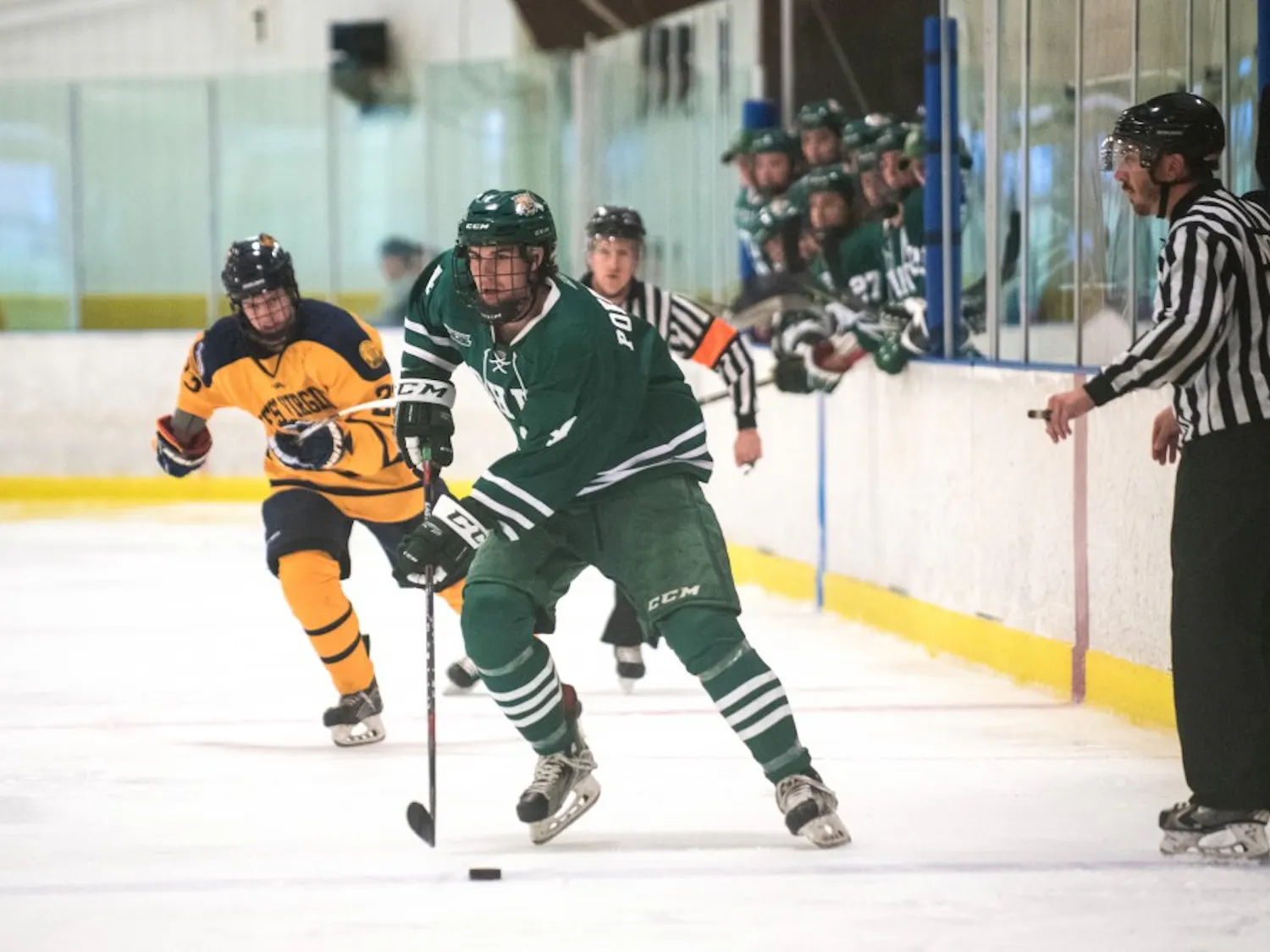 Hockey_WVU.jpg