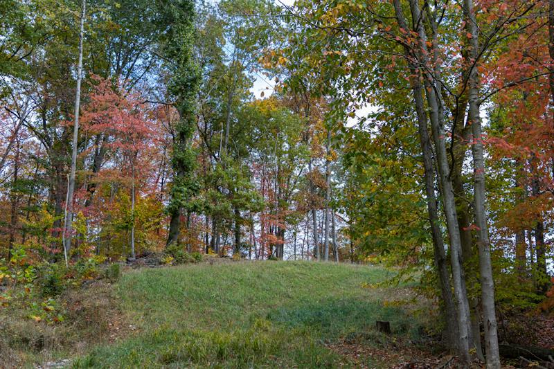 Athens Conservancy looks forward to activism, preservation