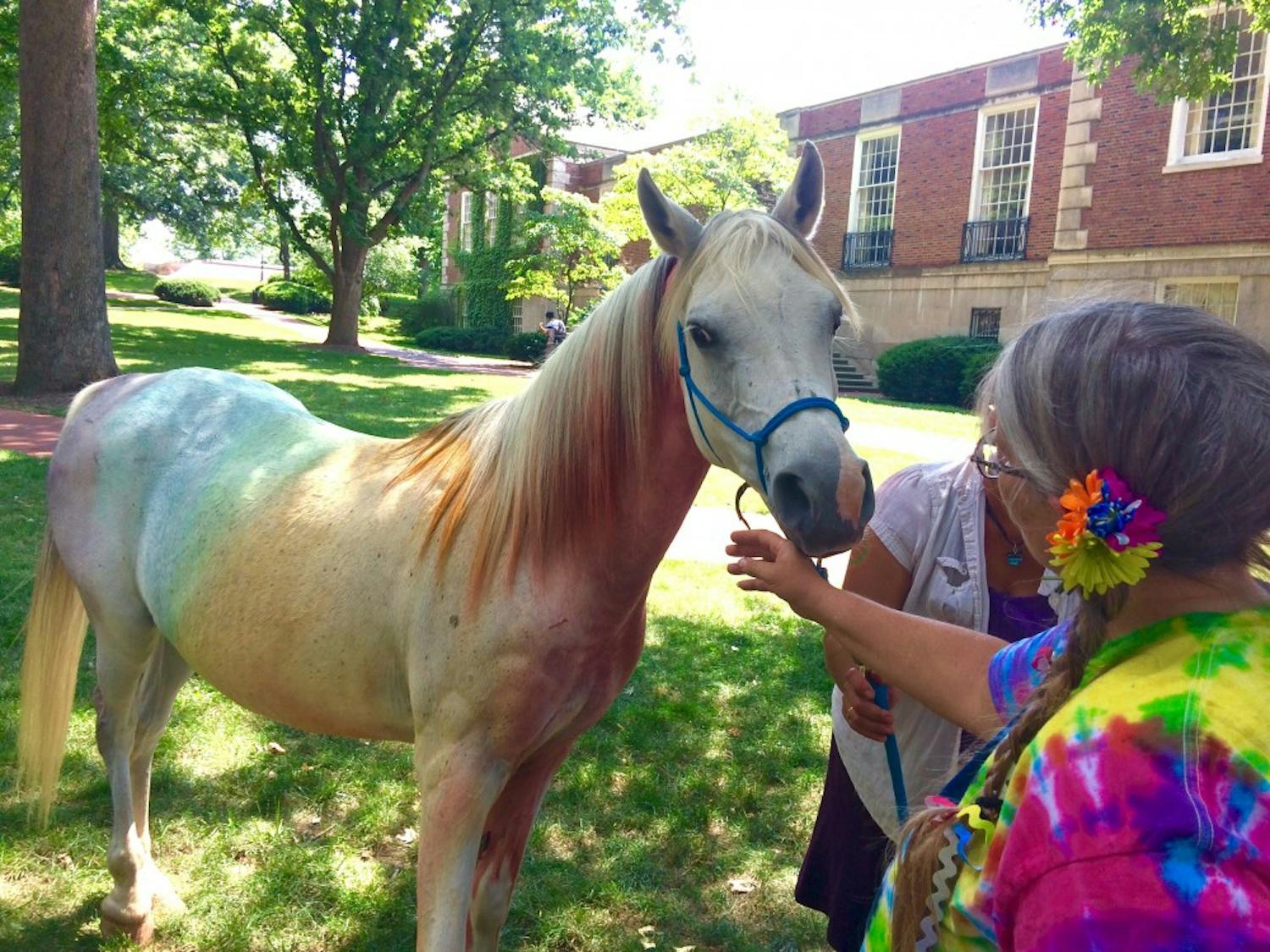Emma, a horse dyed rainbow colors, made a surprise appearance at Athens Pride Fest 2017.