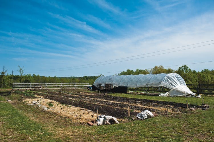 Jackie O's expands locally grown menu selections  