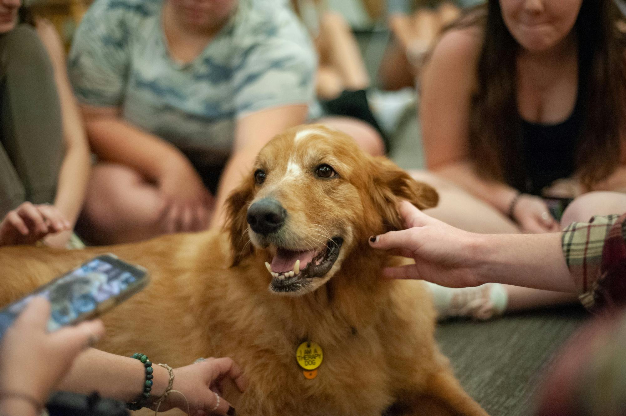 TherapyDogs.Egglestonjpg