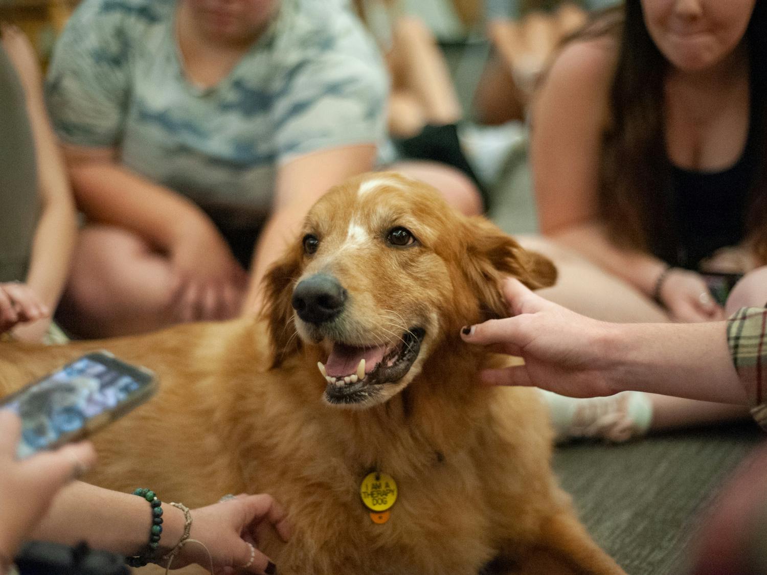 TherapyDogs.Egglestonjpg