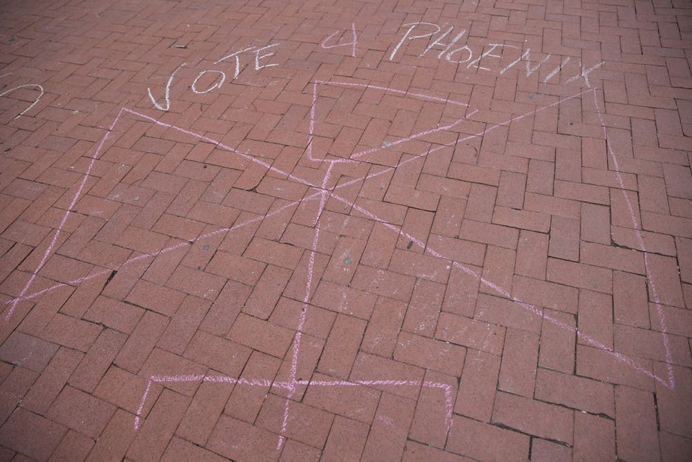 Student Senate Campaigning  