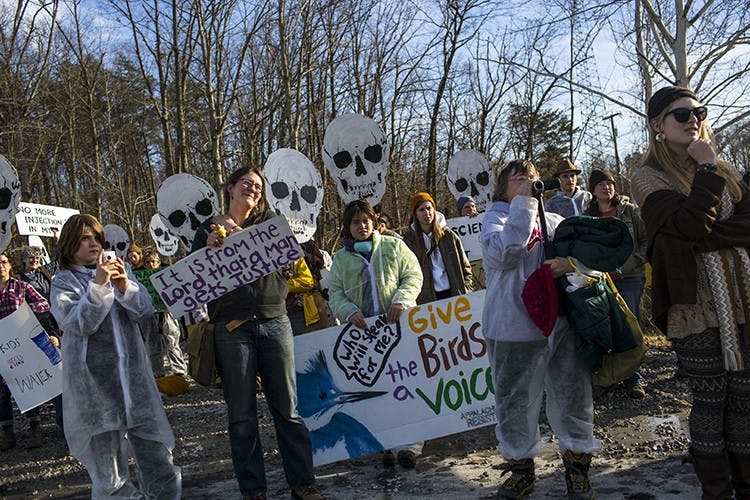 Local musicians to unite with Bobcats Beyond Gas for an anti-fracking benefit concert at Casa Nueva  