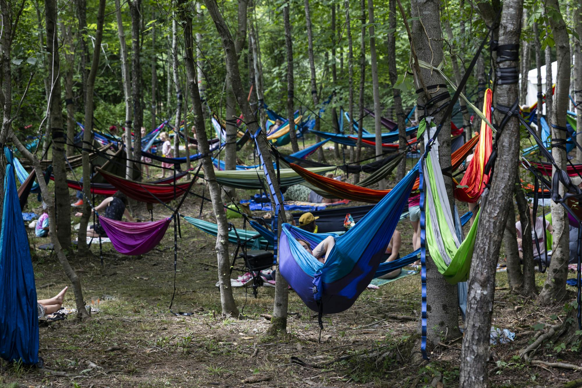NelsonvilleMusicFestival2026_Herx_5.jpg