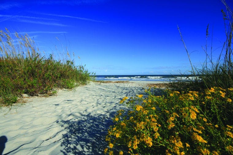 OU students invade Hilton Head  