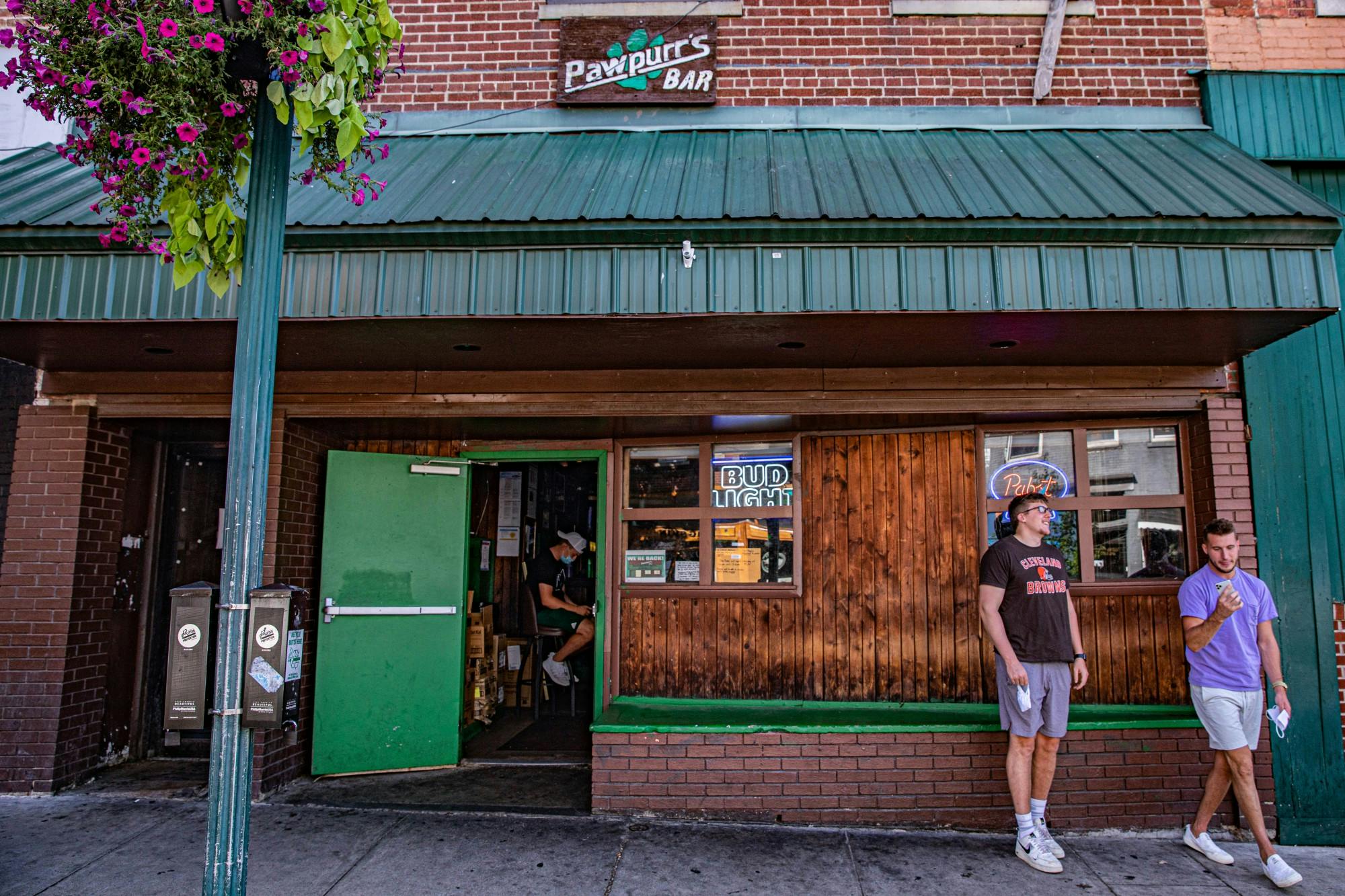 Pawpurrs_NateSwanson