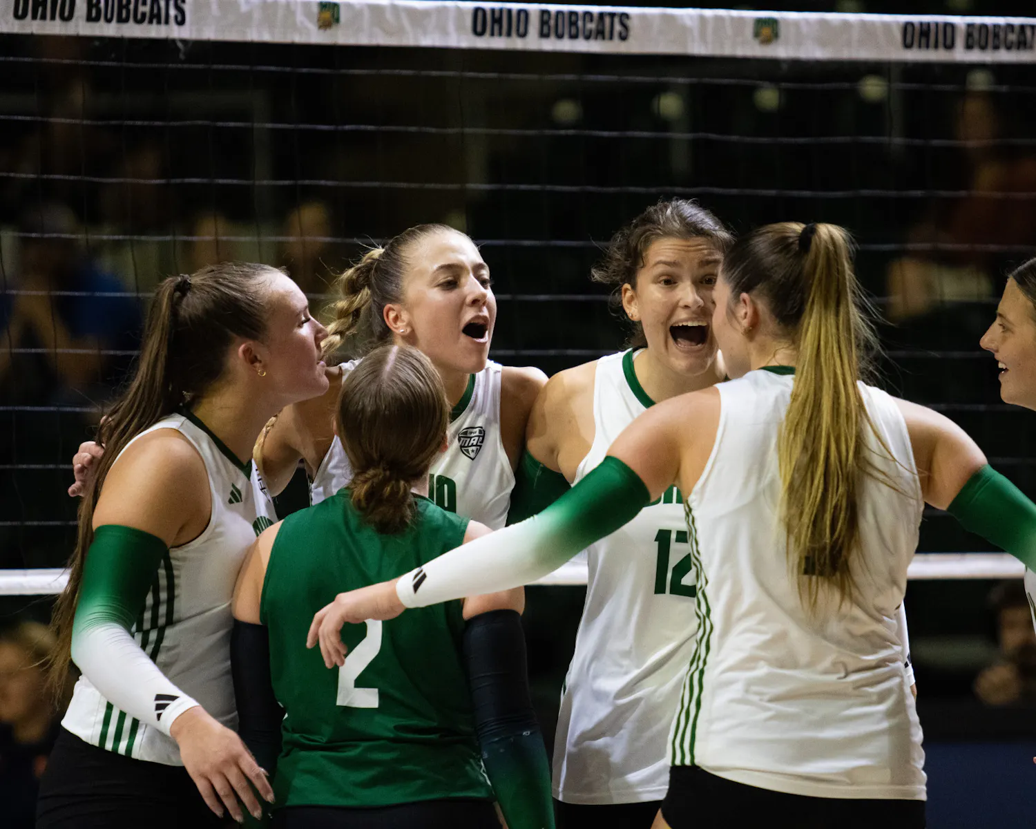 Volleyball_McCoy.jpg