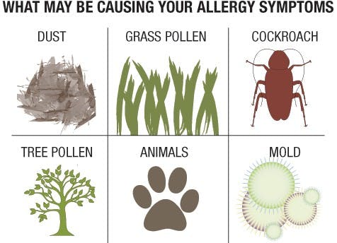 Campus Care offers relief with allergy specialist  