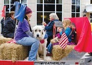 Master of Ceremonies: Area parade, ceremony honors vets  