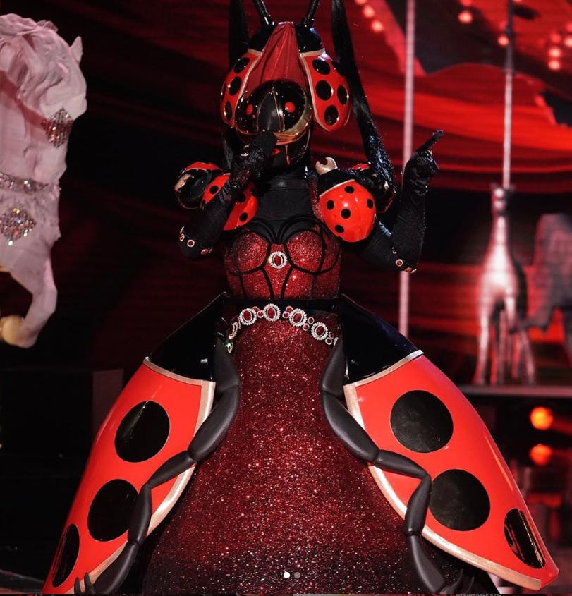 the masked singer.PNG