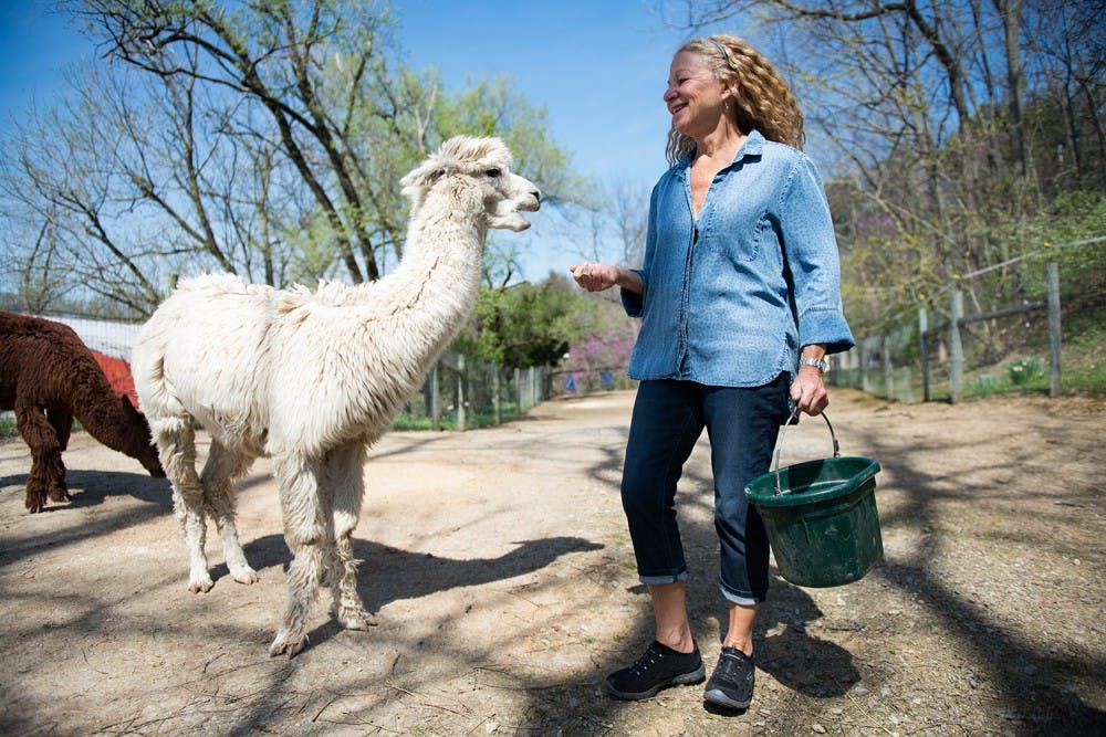 Alpaca Farms