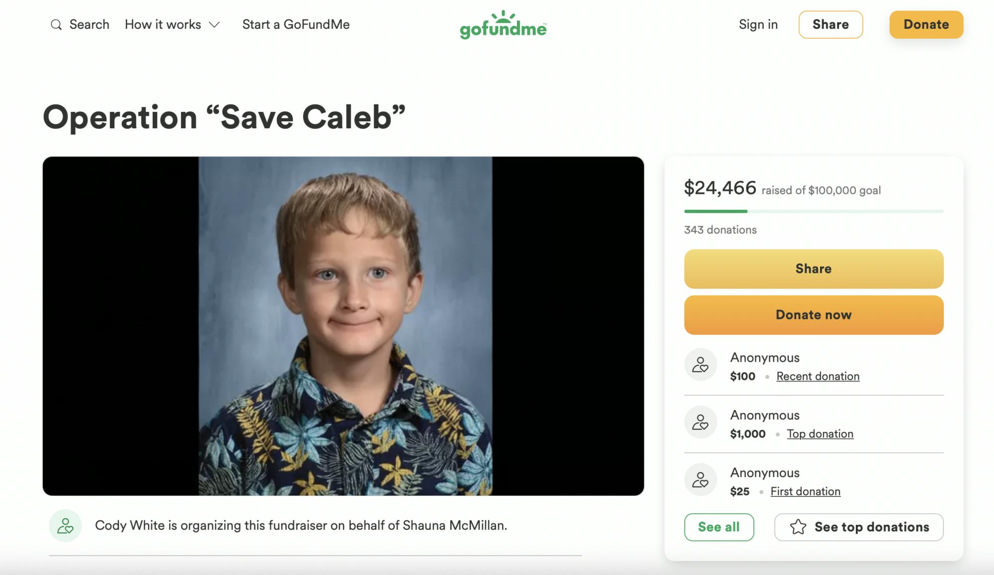 Christy screenshot gofundme