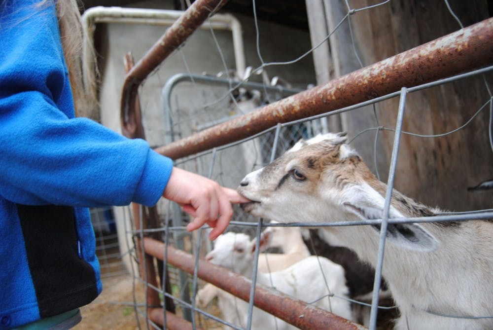 Farmhands are the lifeblood of Athens' local food  