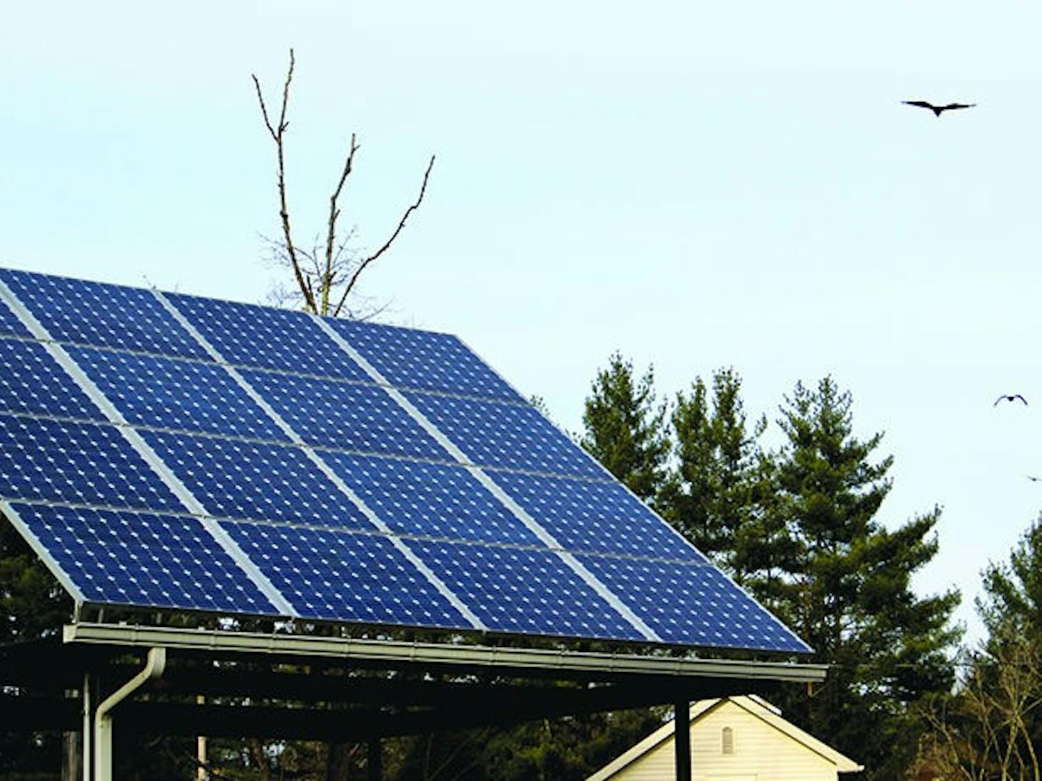 SustainableThanksgivingDinner