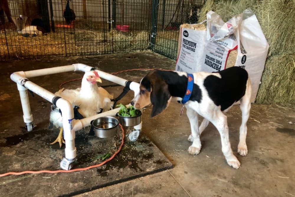 Screen Shot 2019-03-21 at 6.07.42 PM.png