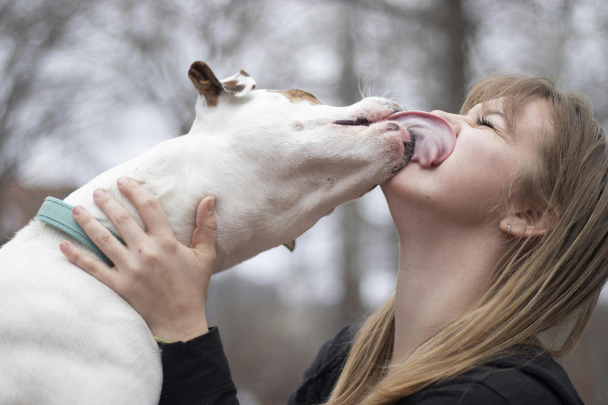 NationalPuppyAndKittenDay_Lynch