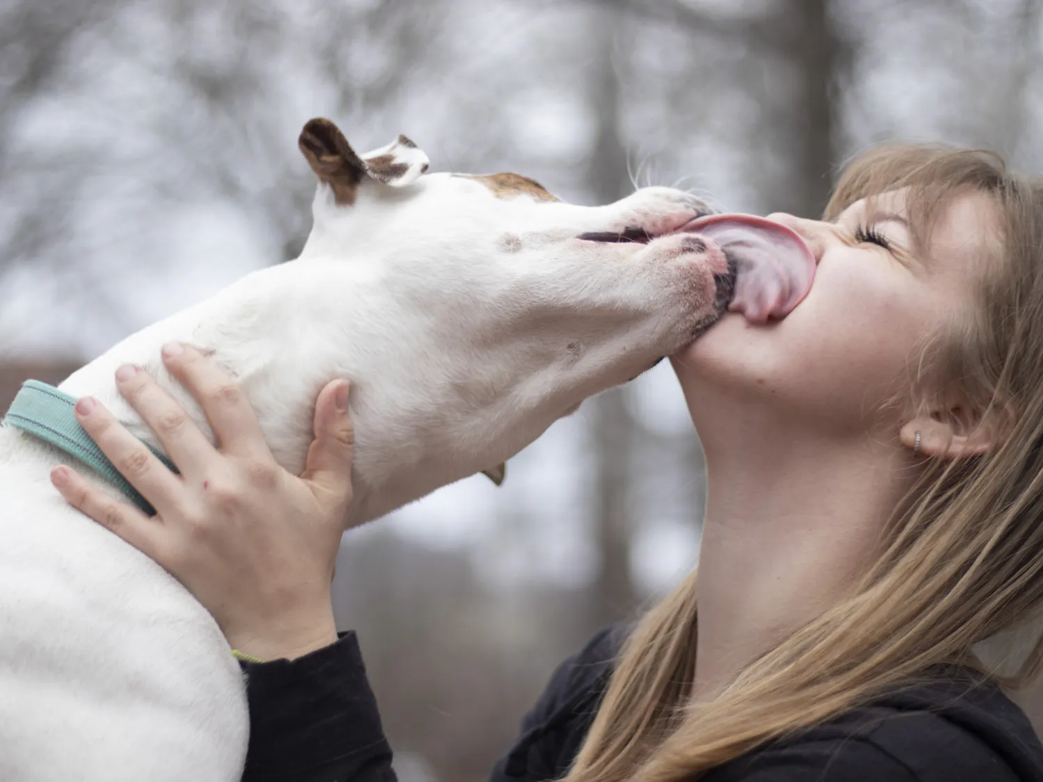 NationalPuppyAndKittenDay_Lynch
