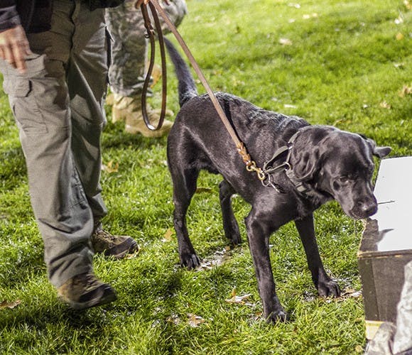State funding approved for OUPD's next recruit: a bomb-sniffing dog  