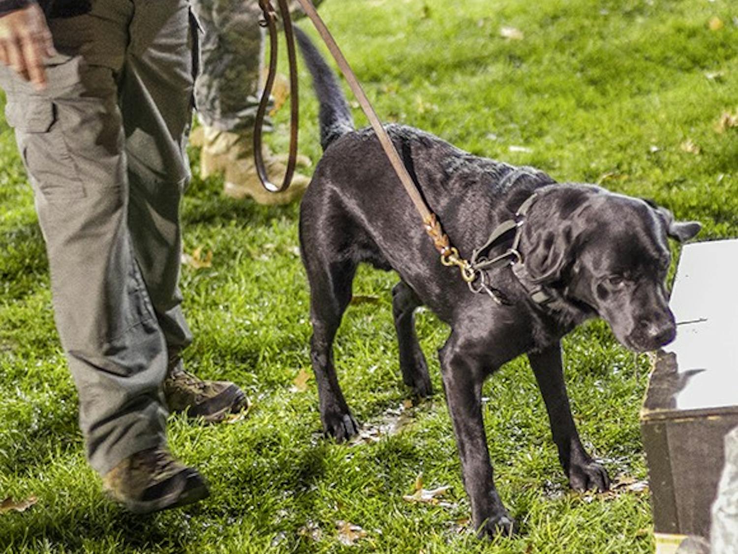 State funding approved for OUPD's next recruit: a bomb-sniffing dog