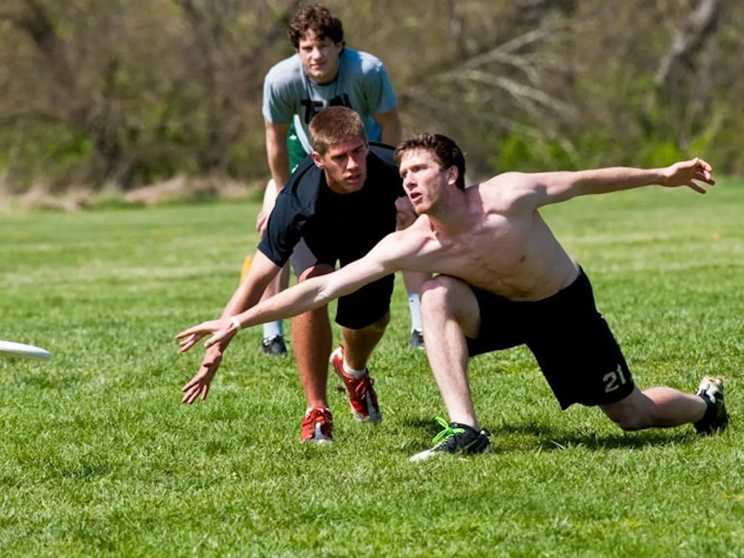 The Ultimate Frisbee Showdown