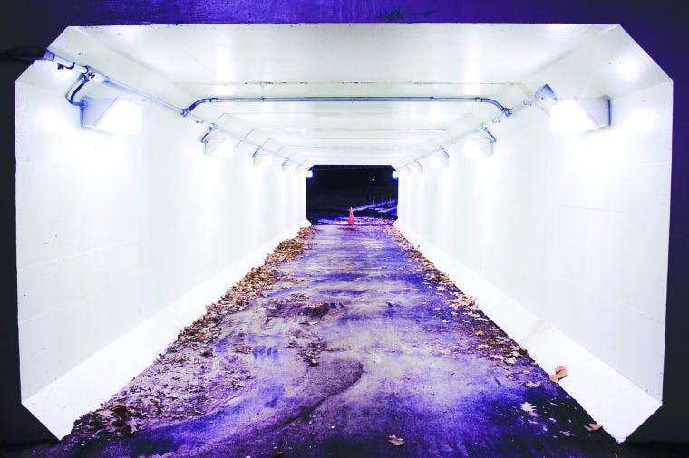 Local artists to channel tunnel vision  