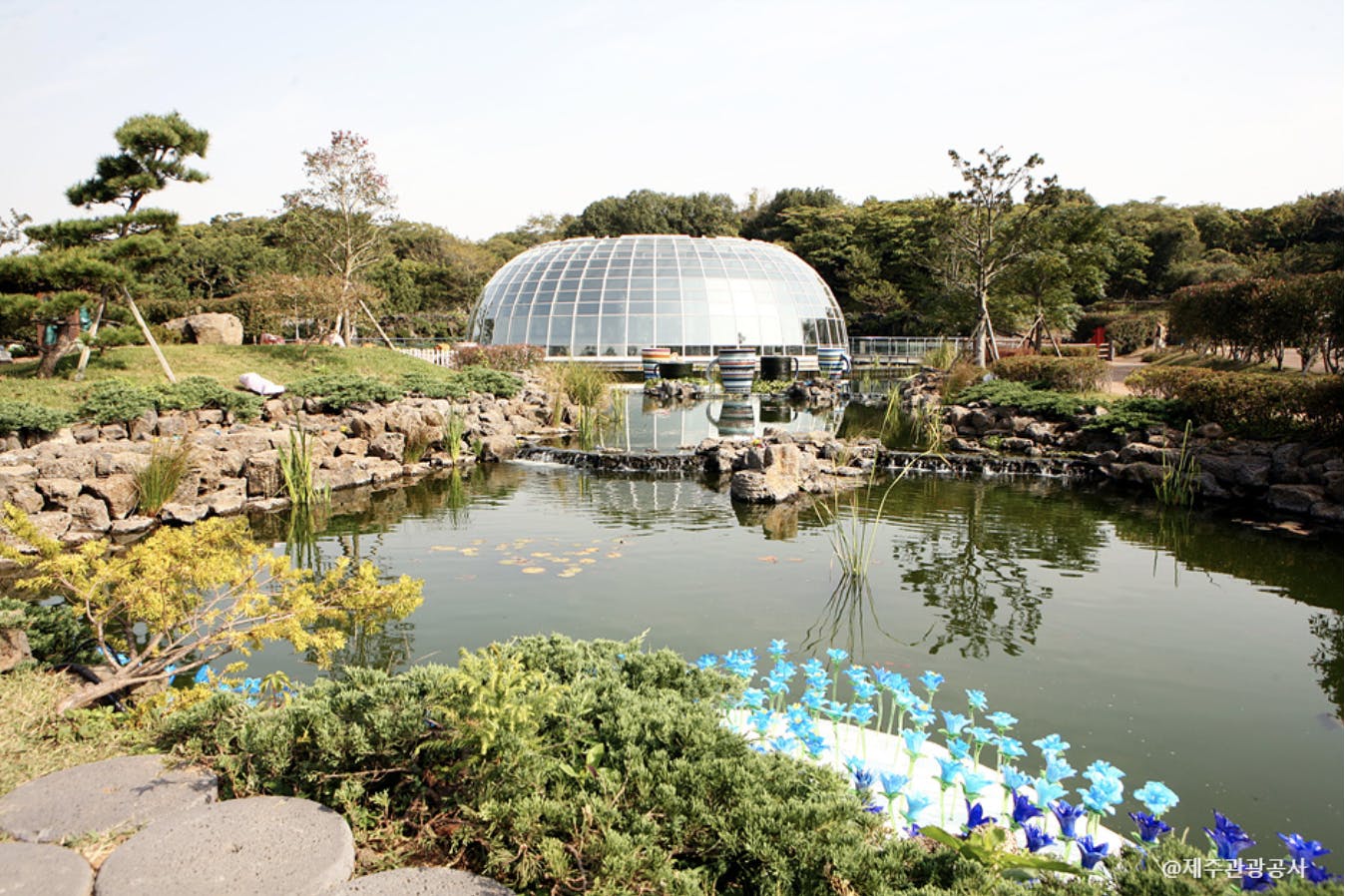 Screen Shot 2022-05-12 at 8.09.23 PM.png