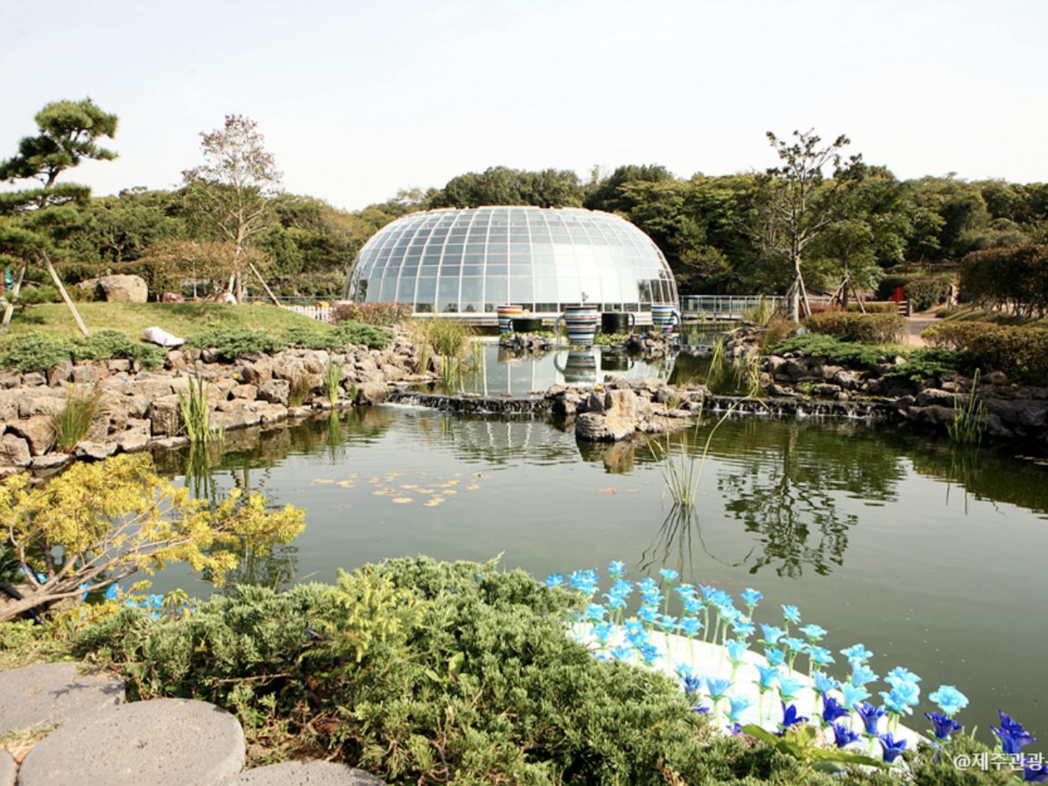 Screen Shot 2022-05-12 at 8.09.23 PM.png