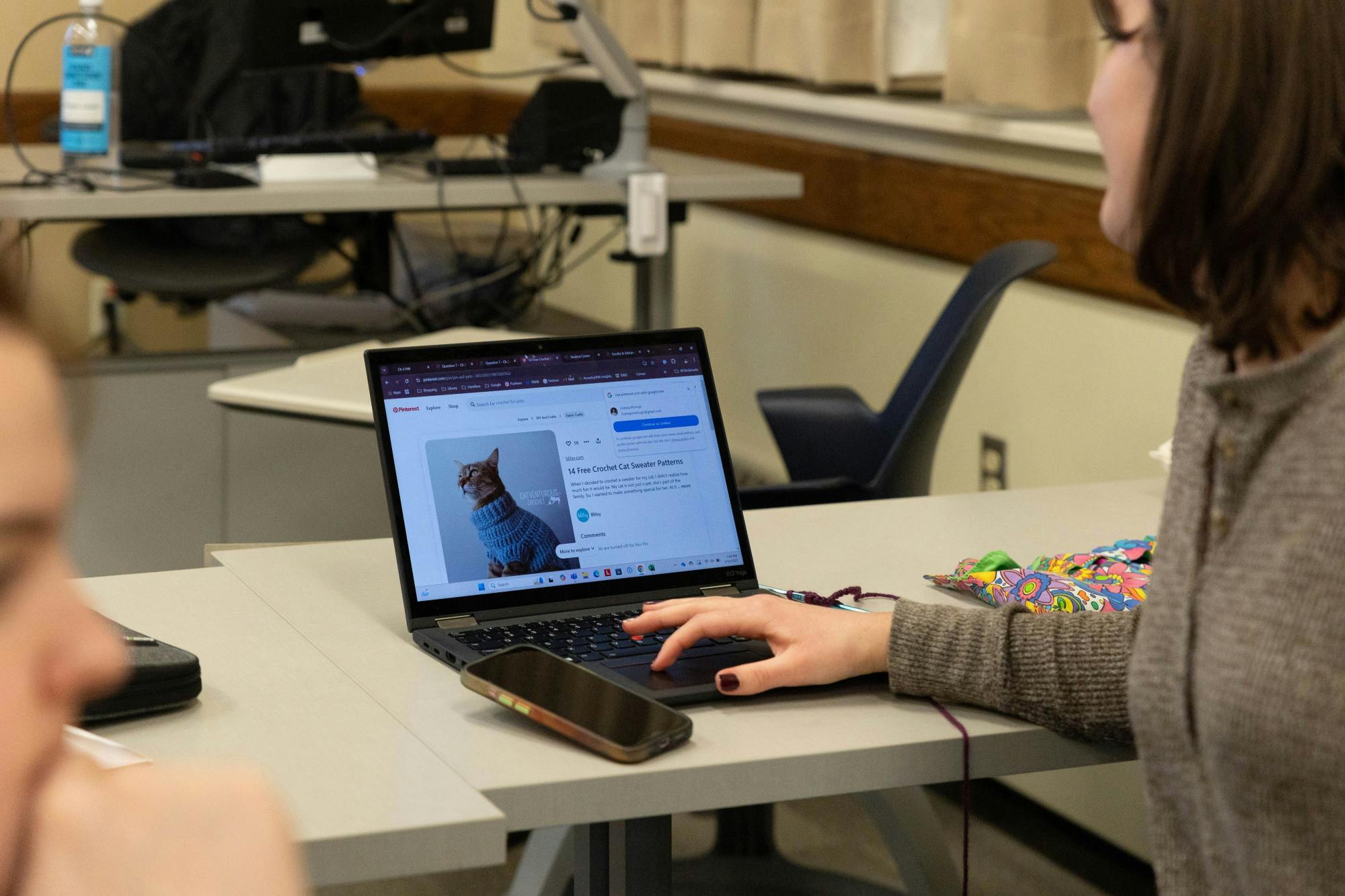 Crochet Club for Cats_2-19-2025_Maloy_Talitha-3.jpg