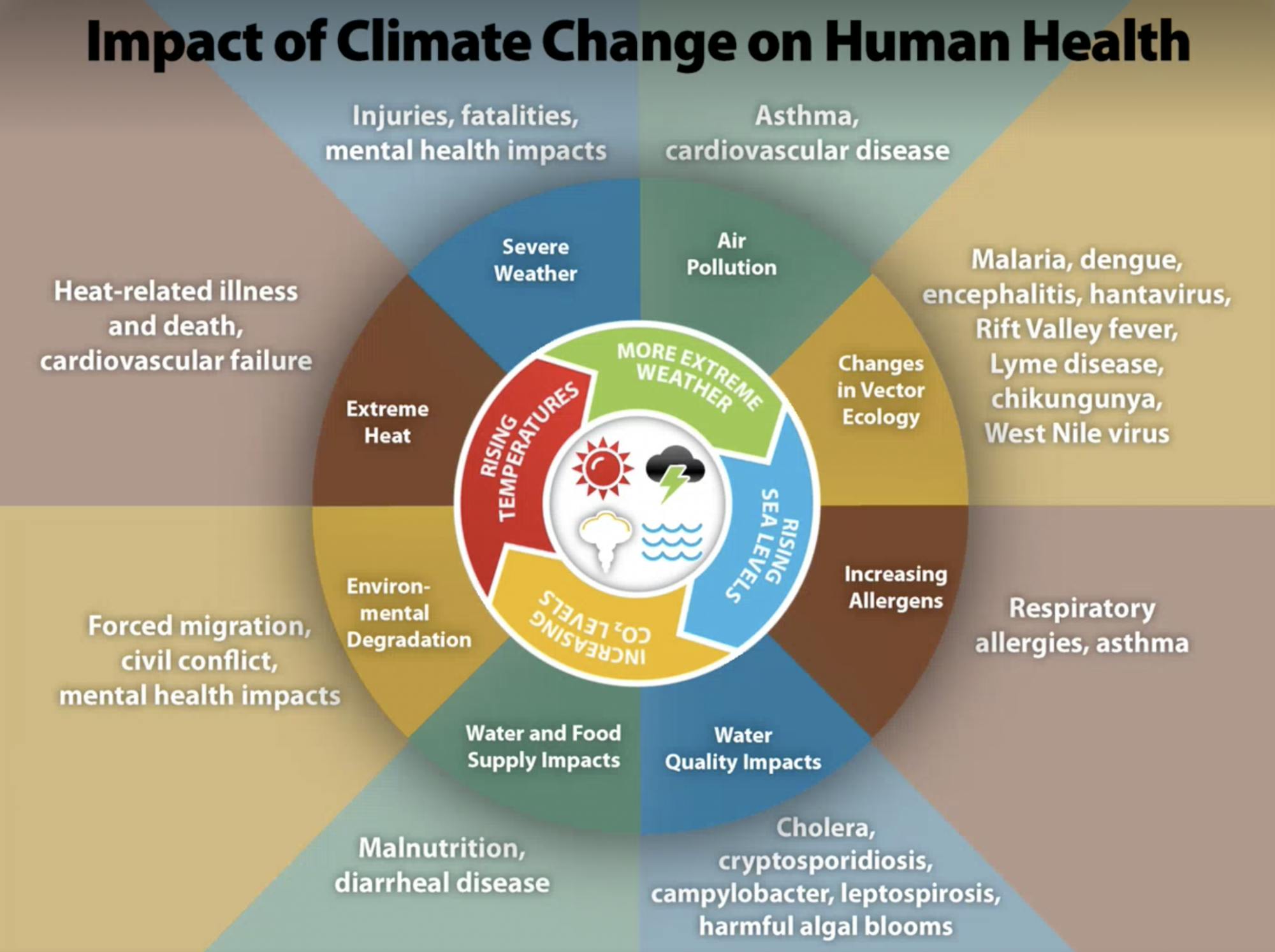 Screen Shot 2021-11-18 at 2.33.57 PM.png