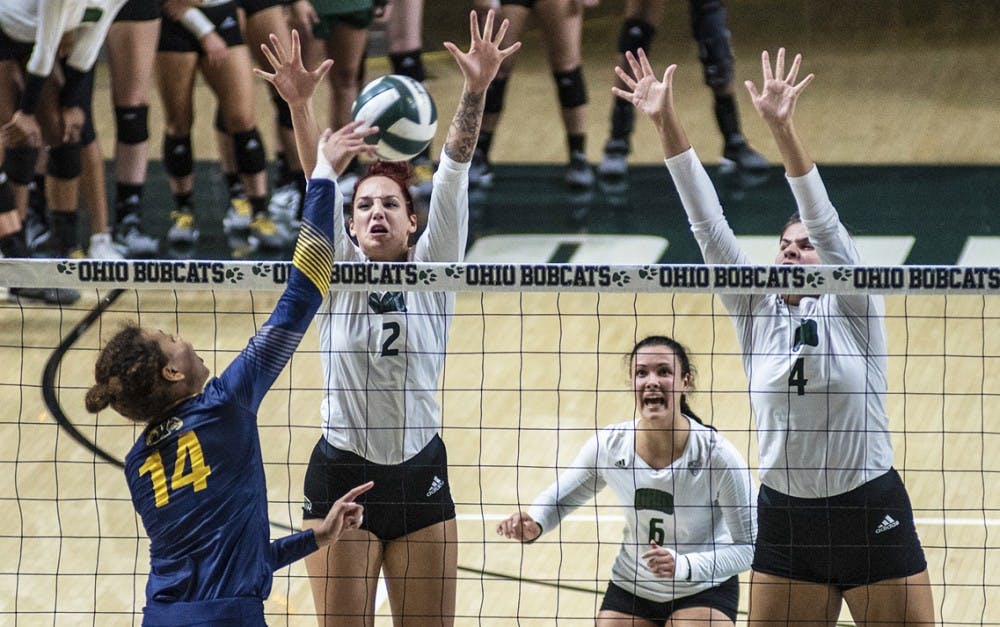 volleyball11 copy.jpg