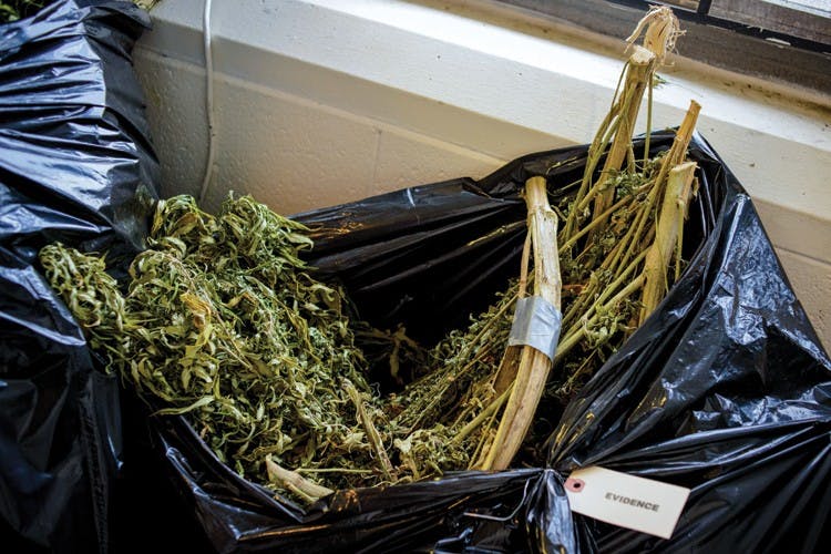 Destroying the Evidence  