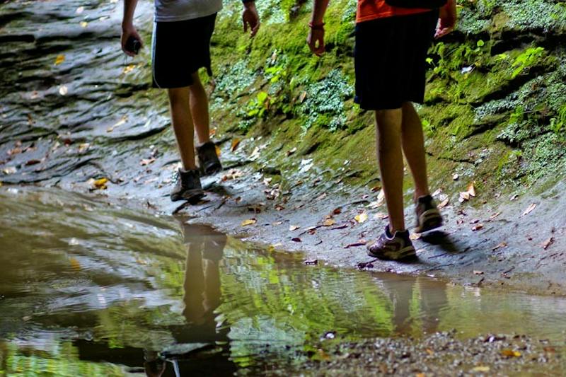 Two hikes planned at nearby state parks