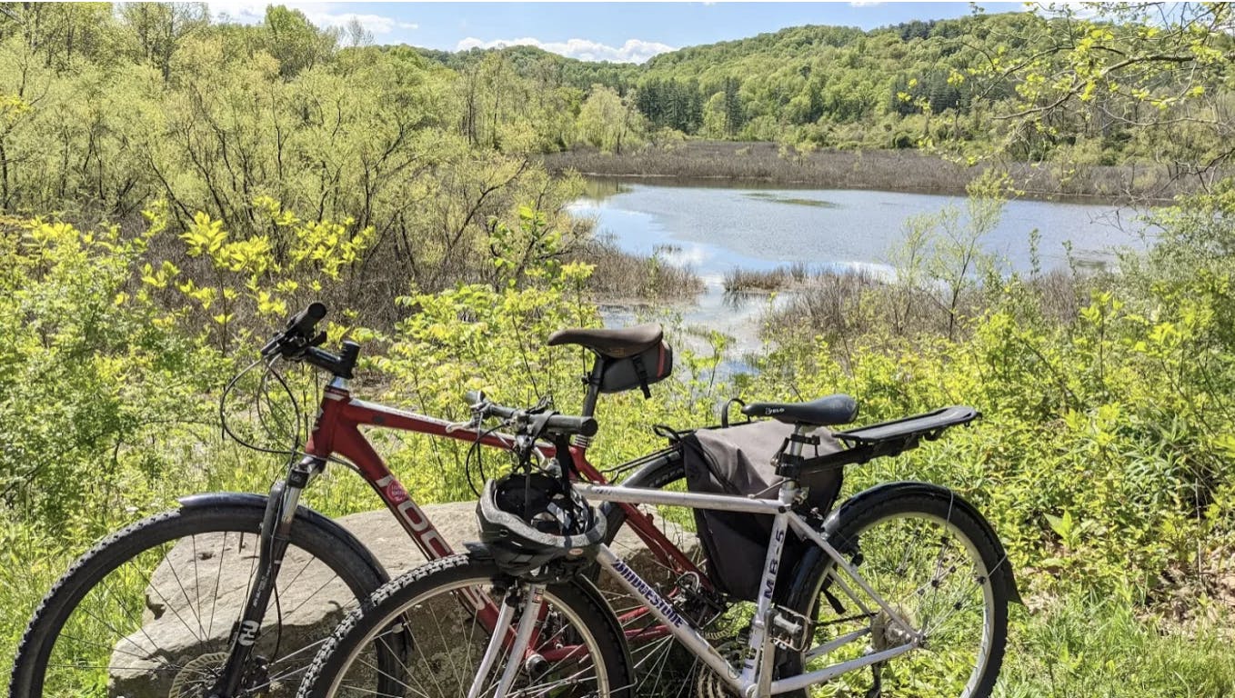 Aimee Delach Provided.png