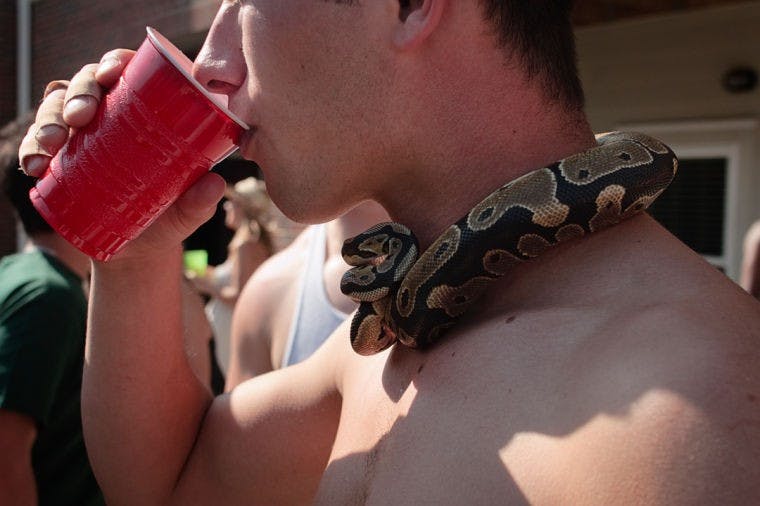 Palmer Place fest 2010  