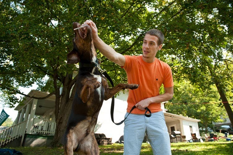 Animals on campus, though cuddly companions, can be troublesome  