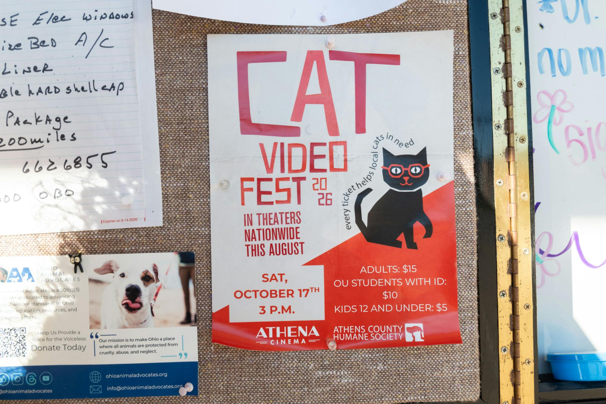 CatVideoFest_10-7-26_Deem_River_004.jpg
