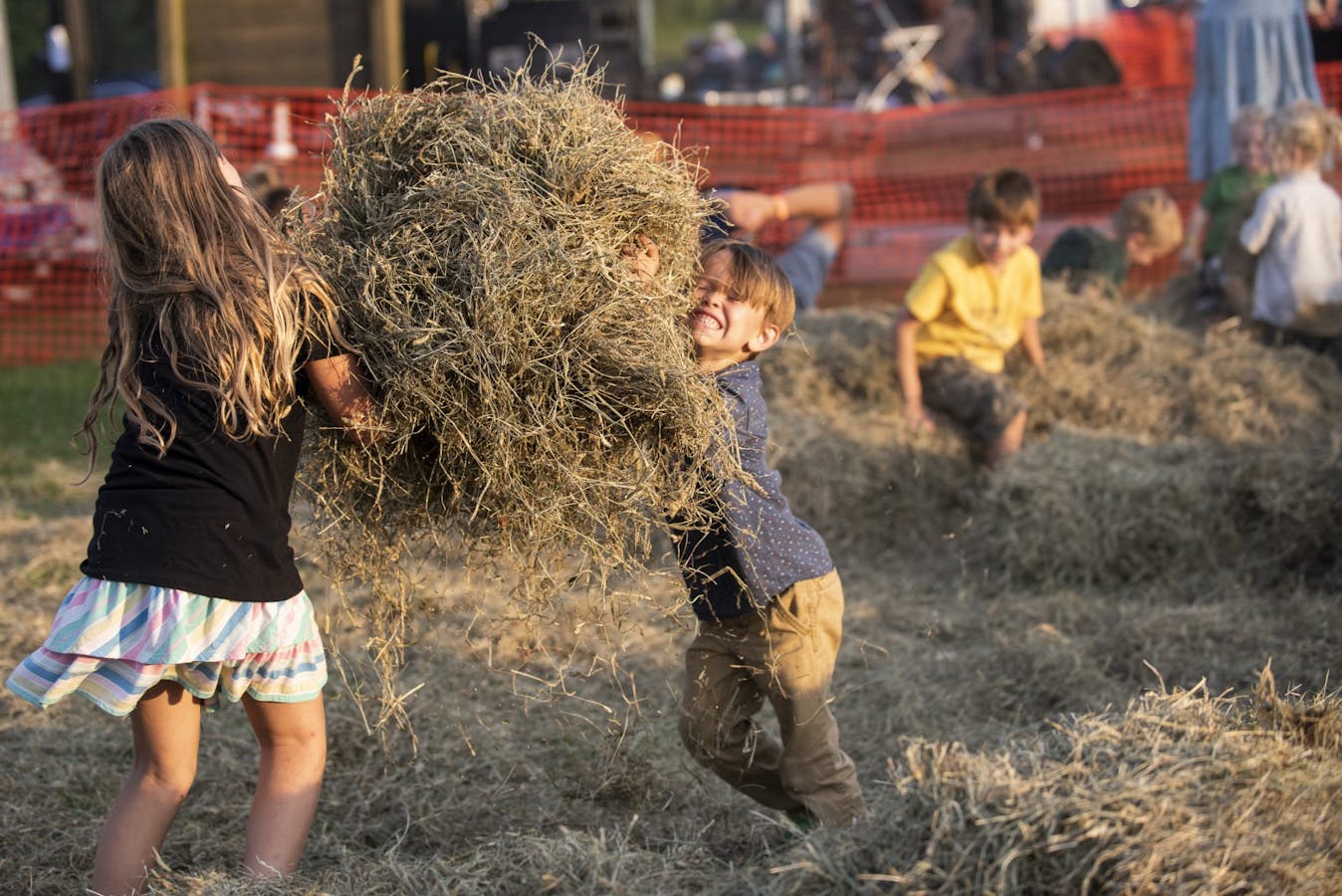Paw Paw Festival 2021 The Post
