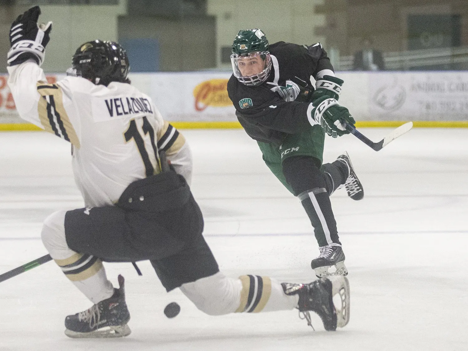 Hockey_SeasonPreview_Mayr