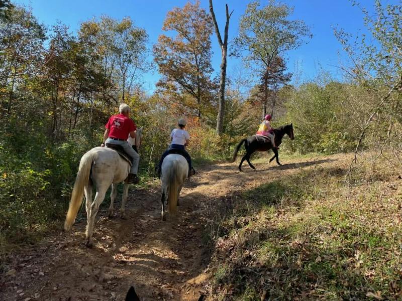 Ohio Horseman’s Council chapter provides support, education, riding opportunities