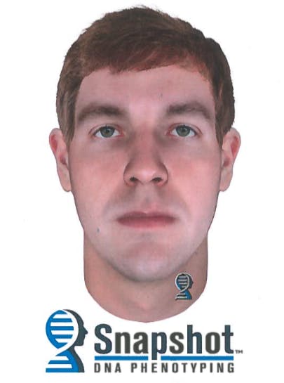 Predator Composite 2  