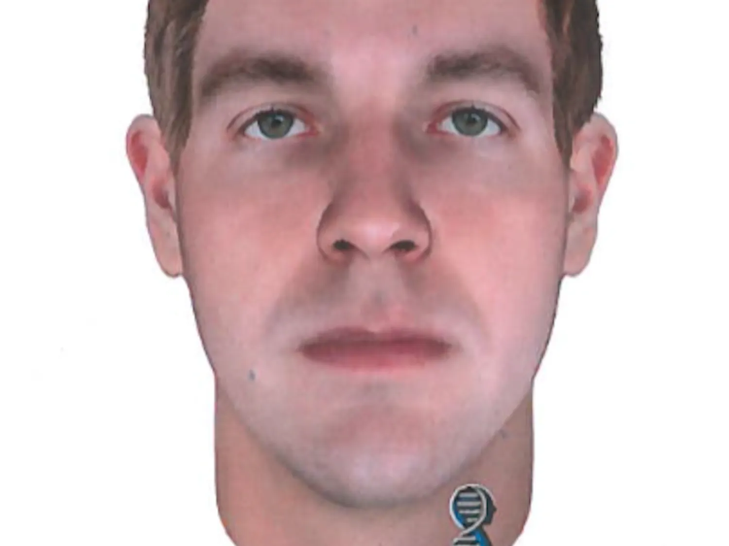 Predator Composite 2