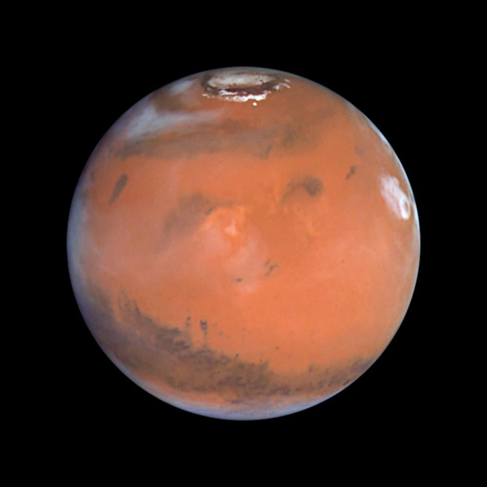 Mars at Opposition (the Elysium Region)