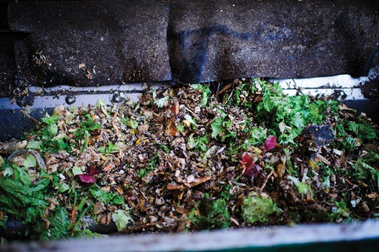 The 'Gobbler': Gorging on garbage  